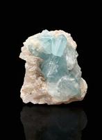 Buitengewone colombiaanse Euclase Kristal op matrix -