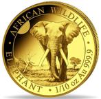 Somalië. 100 Schilling 2025 Somalia Elephant Elefant  1/10, Postzegels en Munten