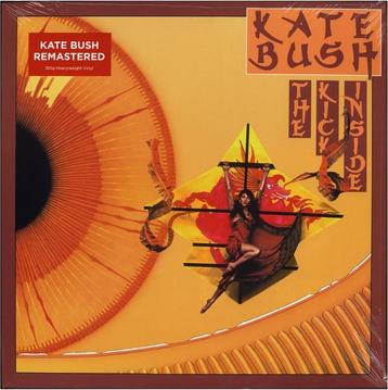 Kate Bush - The Kick Inside (vinyl LP) beschikbaar voor biedingen