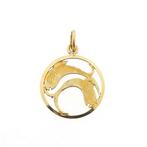 Gouden sterrenbeeld hanger; Vissen (ketting hanger), Ophalen of Verzenden, Gebruikt, Goud, Overige merken