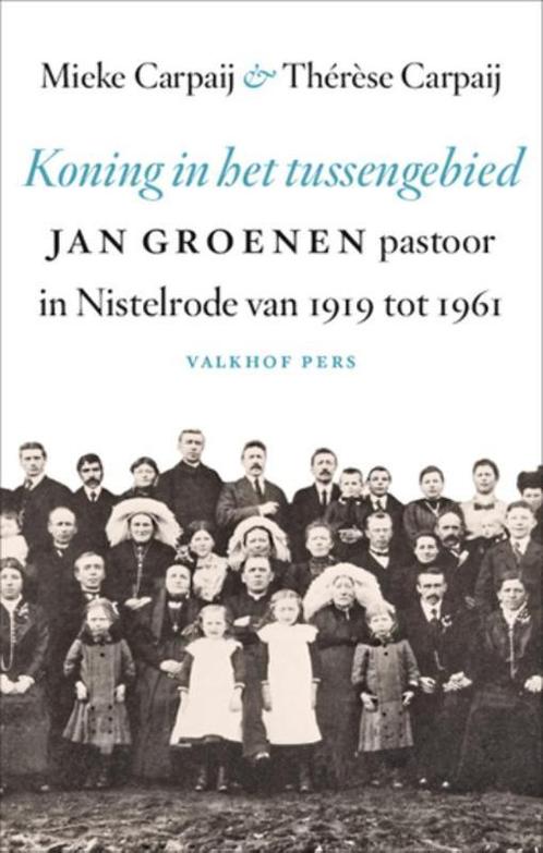 Koning in het tussengebied 9789056254469 Mieke Carpaij, Boeken, Politiek en Maatschappij, Zo goed als nieuw, Verzenden