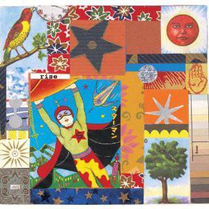 cd - Kim Richey - Rise, Cd's en Dvd's, Cd's | Overige Cd's, Zo goed als nieuw, Verzenden