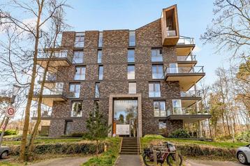 Woningontruiming in Zeist beschikbaar voor biedingen