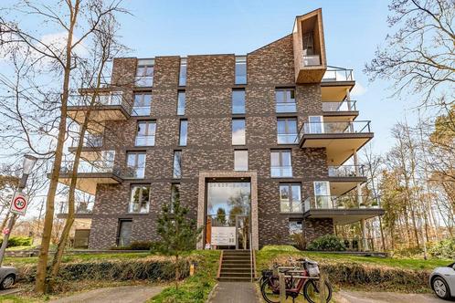 Woningontruiming in Zeist, Diversen, Rommelmarktspullen, Nieuw
