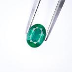 Zonder Minimumprijs Smaragd - 1.28 ct - International, Sieraden, Tassen en Uiterlijk, Edelstenen, Nieuw