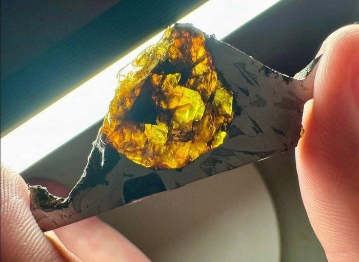 Esquel meteoriet IJzer meteoriet - 9.17 g, Verzamelen, Mineralen en Fossielen