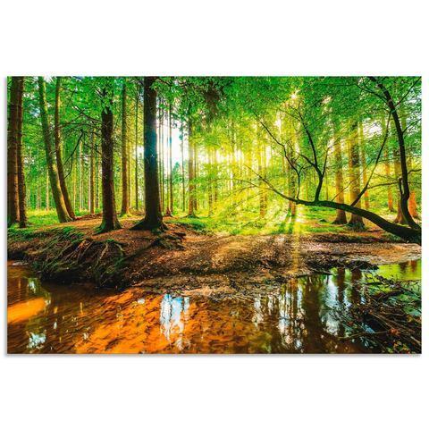 Artland Artprint Bos met beek als artprint van, Huis en Inrichting, Woonaccessoires | Schilderijen, Tekeningen en Foto's, Nieuw