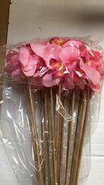 Bijsteker orchidee op stok Roze Bijsteker, Ophalen of Verzenden, Nieuw