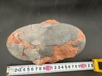 Fossiel - Gefossiliseerd ei - Oviraptor sp. - 18 cm - 11 cm, Verzamelen, Mineralen en Fossielen