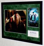 Harry Potter - David Bradley (Argus Filch) Premium Framed,, Nieuw