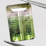 Zonder Minimumprijs Toermalijn - 0.86 ct - Instituto, Nieuw