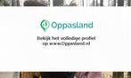 FS zoekt een oppas in Utrecht voor 1 kind voor 7 dagen in..., Boeken, Nieuw