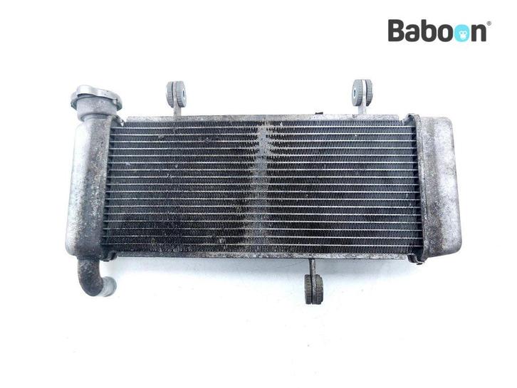 Radiateur Kawasaki NINJA 125 2021 (BX125), Motoren, Onderdelen | Kawasaki, Gebruikt, Verzenden