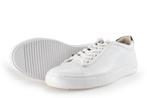 Blackstone Sneakers in maat 42 Wit | 10% extra korting, Kleding | Heren, Schoenen, Blackstone, Verzenden, Wit, Sneakers of Gympen