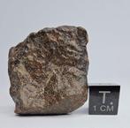 Koolstofhoudende meteoriet CO3, NWA 16415. Reserveer geen