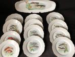 Létoile porcelaine Pommier - L’étoile porcelaine Pommier