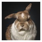 Ralph Hargarten - Hermine