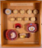 SCHOOLPLATENSHOP.NL een site met oude schoolplaten en ......, Antiek en Kunst, Verzenden, Natuur en Biologie