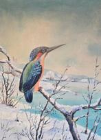 Onbekende kunstenaar - Eisvogel