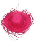 Roze Strohoed rafels, Kleding | Dames, Carnavalskleding en Feestkleding, Verzenden, Nieuw