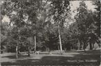 DINXPERLO - Gem. Wandelpark, Verzamelen, Verzenden, Gelopen
