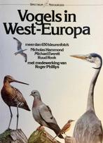 Vogels in West-Europa 9789027492722 N. Hammond, Gelezen, N. Hammond, Ruud Rook, Verzenden