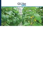 9786139419609 Ontwikkeling van een aquaponics systeem en ..., Verzenden, Nieuw, Ole Paschen