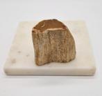 Versteen hout stukje, Ophalen of Verzenden