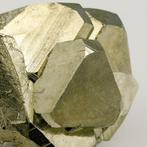 Hoge kwaliteit! Glanzend Pyriet Kristalen - Hoogte: 4.5 cm -, Verzamelen, Mineralen en Fossielen