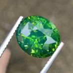 1 pcs Groen Zirkoon - 7.04 ct - International Gemological, Nieuw