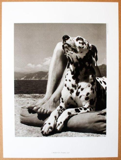Herbert List (1903 - 1975) - Master and Dog, Portofino., Antiek en Kunst, Kunst | Schilderijen | Modern