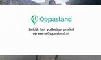 Ik ben Busra, 33 jaar oud en ik zoek oppaswerk in Almelo., Diensten en Vakmensen, Dieren | Overige | Verzorging, Oppas en Les