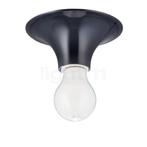 Artemide Teti, antracietgrijs (Plafondlampen, Binnenlampen), Huis en Inrichting, Lampen | Plafondlampen, Verzenden, Nieuw