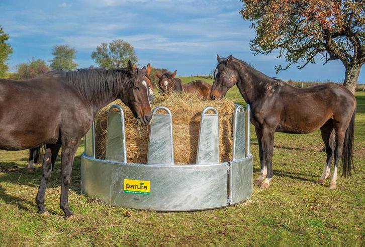 Ronde hooiruif voor paarden, 12 plaatsen veiligheidsvoerhek, Dieren en Toebehoren, Paarden en Pony's | Overige Paardenspullen