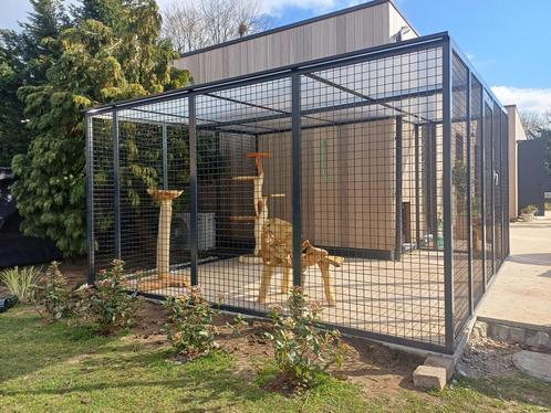 Maatwerk kattenren in uw tuin of op uw balkon? Wij helpen u!, Dieren en Toebehoren, Katten-accessoires, Nieuw