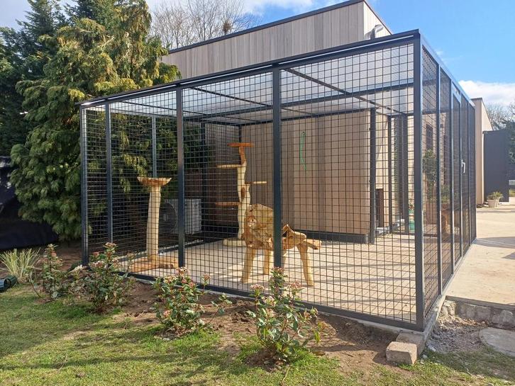 Maatwerk kattenren in uw tuin of op uw balkon? Wij helpen u!, Dieren en Toebehoren, Katten-accessoires, Nieuw