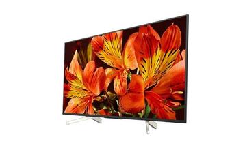 SonyBRAVIA Professional Displays FW55BZ35F 55 4K UHD beschikbaar voor biedingen