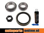 Wiellager set Fiat Ducato achterzijde, links of rechts, Verzenden, Nieuw, Fiat