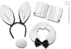 Sexy Bunny set, Kleding | Dames, Carnavalskleding en Feestkleding, Ophalen of Verzenden, Nieuw