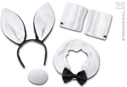 Sexy Bunny set, Kleding | Dames, Carnavalskleding en Feestkleding, Nieuw, Ophalen of Verzenden