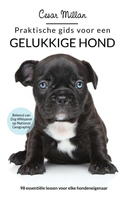 Praktische gids voor een gelukkige hond 9789044356991, Boeken, Hobby en Vrije tijd, Gelezen, Verzenden
