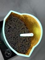 XTC Artist - Mc Tiffany & Caviar Gold 19cm, Antiek en Kunst