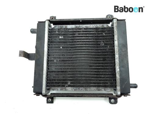 Radiateur Kymco Xciting 300 i R 2009-2010 (T72011), Motoren, Onderdelen | Overige, Gebruikt, Verzenden