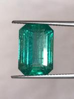 1 pcs Groen, Blauw Smaragd - 9.30 ct - International, Nieuw