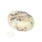 Dendriet Opaal - Agaat handsteen - Small Nr 30 - 25 gram, Verzenden, Nieuw
