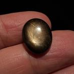 Zonder minimumprijs - 1 pcs Stersaffier - 10.00 ct - Geen