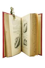 Vilmorin-Andrieux et Cie - Les plantes potagères., Antiek en Kunst, Antiek | Boeken en Bijbels