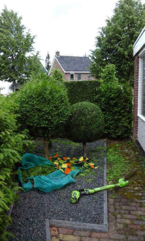 Tuinman Twente - Heg snoeien - Ootmarsum / Duitse grens, Diensten en Vakmensen, Tuinmannen en Stratenmakers, Tuinonderhoud of Snoeiwerk