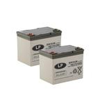 Landport (LP) 2x EVX12-39 AGM / GEL / Carbon accus 12 volt, Caravans en Kamperen, Ophalen of Verzenden, Nieuw