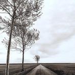 Wiepke Folkerts - La Route
